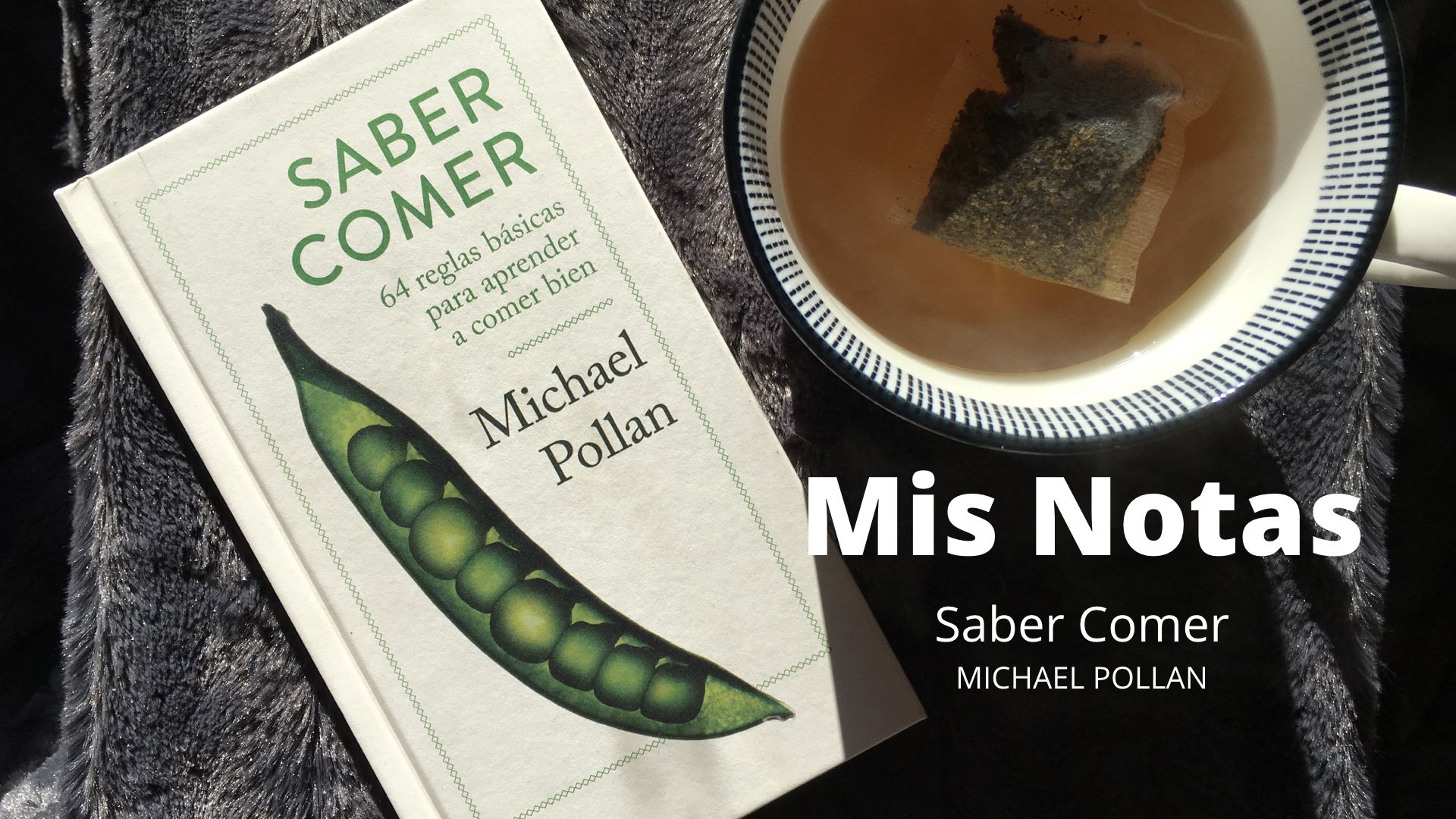 Agustin Vidal Meditacion Notas De Libro Saber Comer