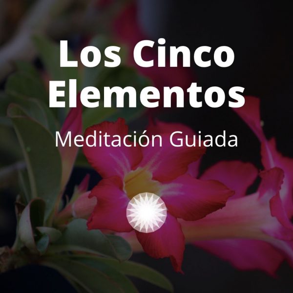 Agustin Vidal Meditacion Guiada los 5 Elementos Producto