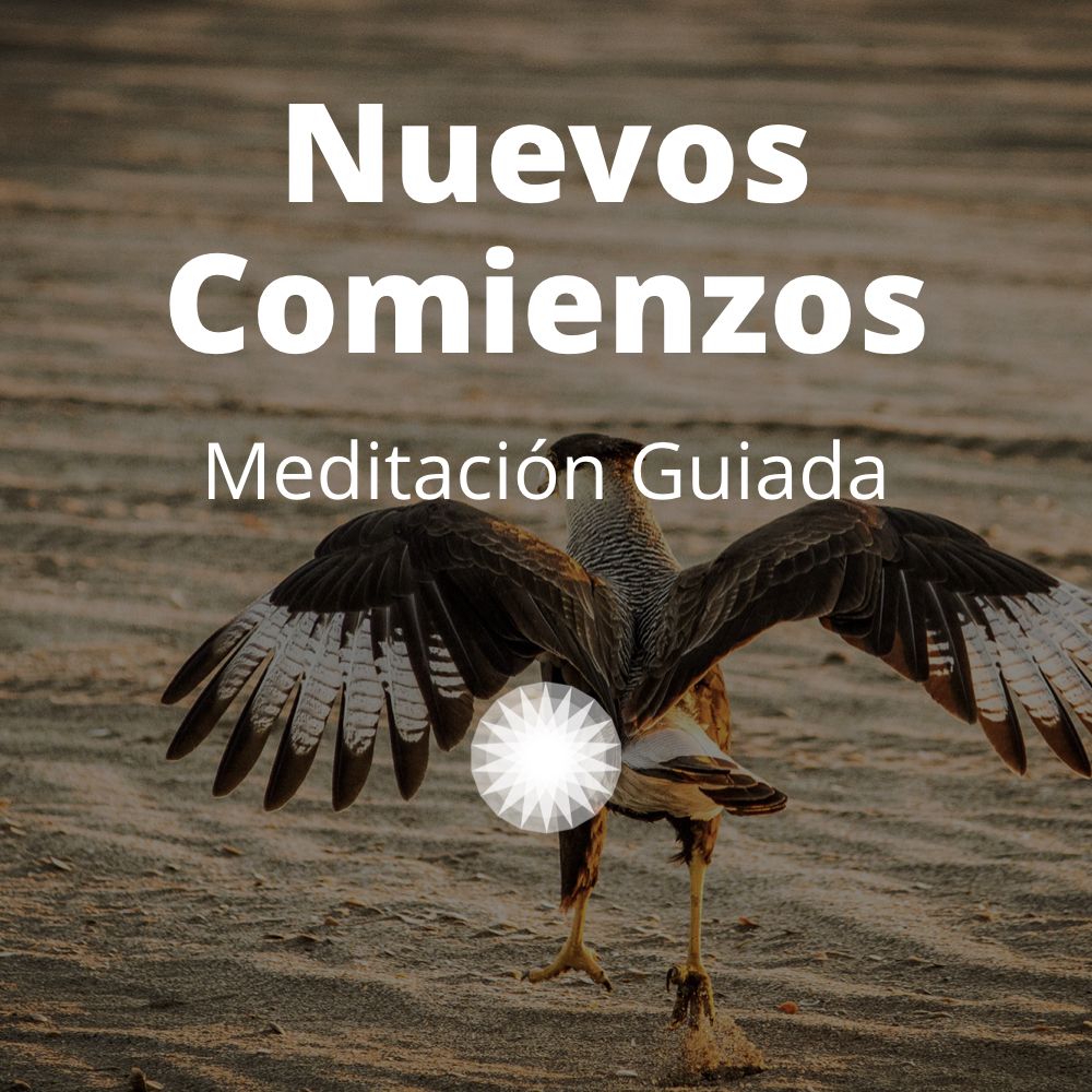 Agustin Vidal Meditacion Guiada Nuevos Comienzos Producto