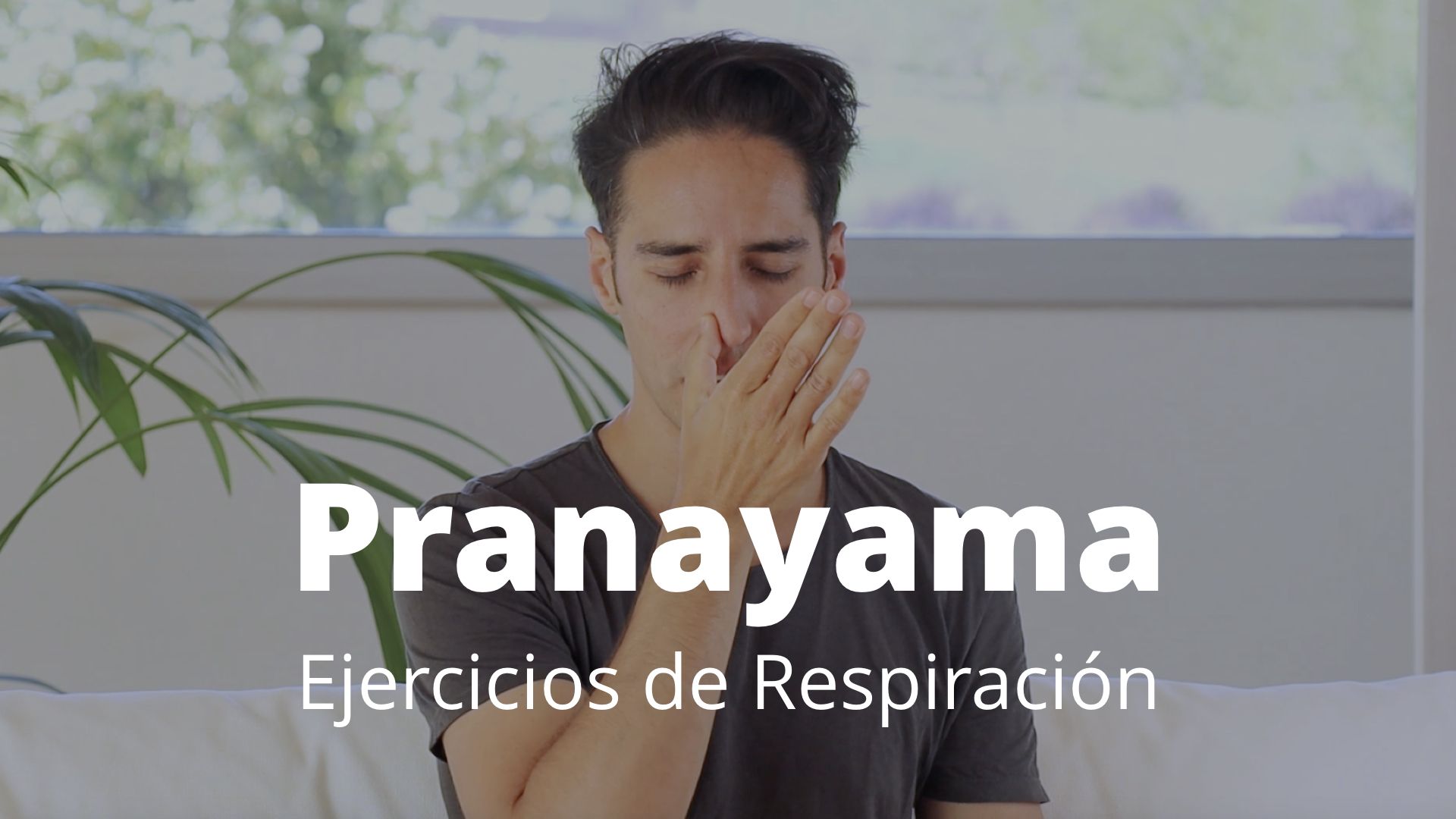 Pranayama: Ejercicios De Respiración