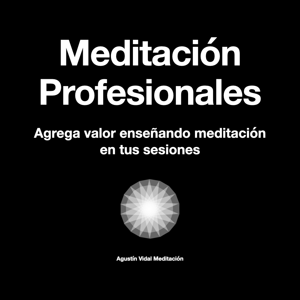 Agustin Vidal Meditacion Curso Profesionales